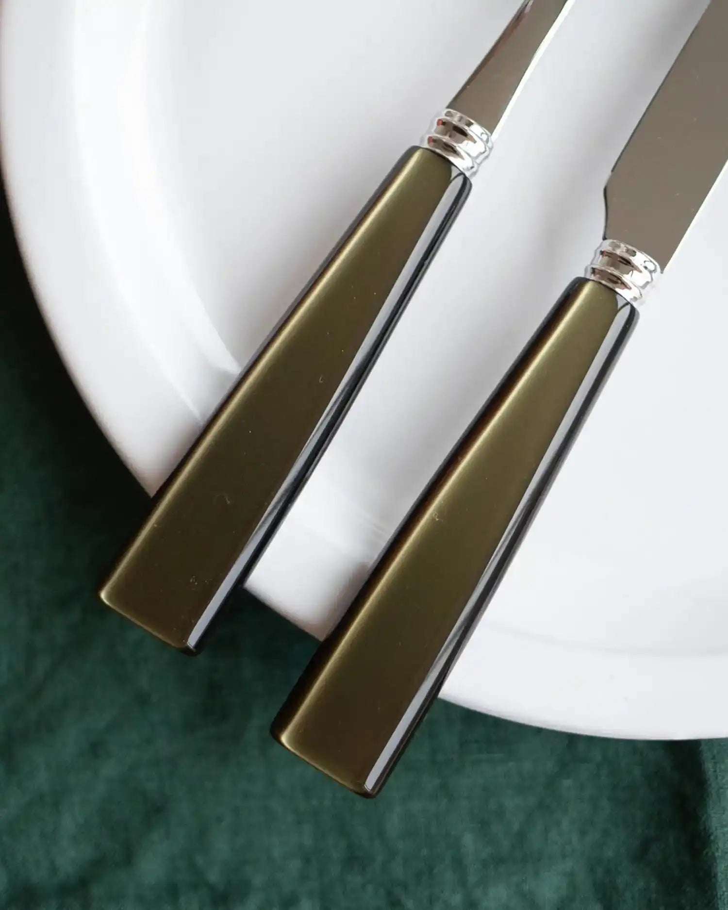 Sabre Paris Icône 5-piece stainless steel cutlery set with acrylic handles - Buy now on ShopDecor - Discover the best products by SABRE PARIS design