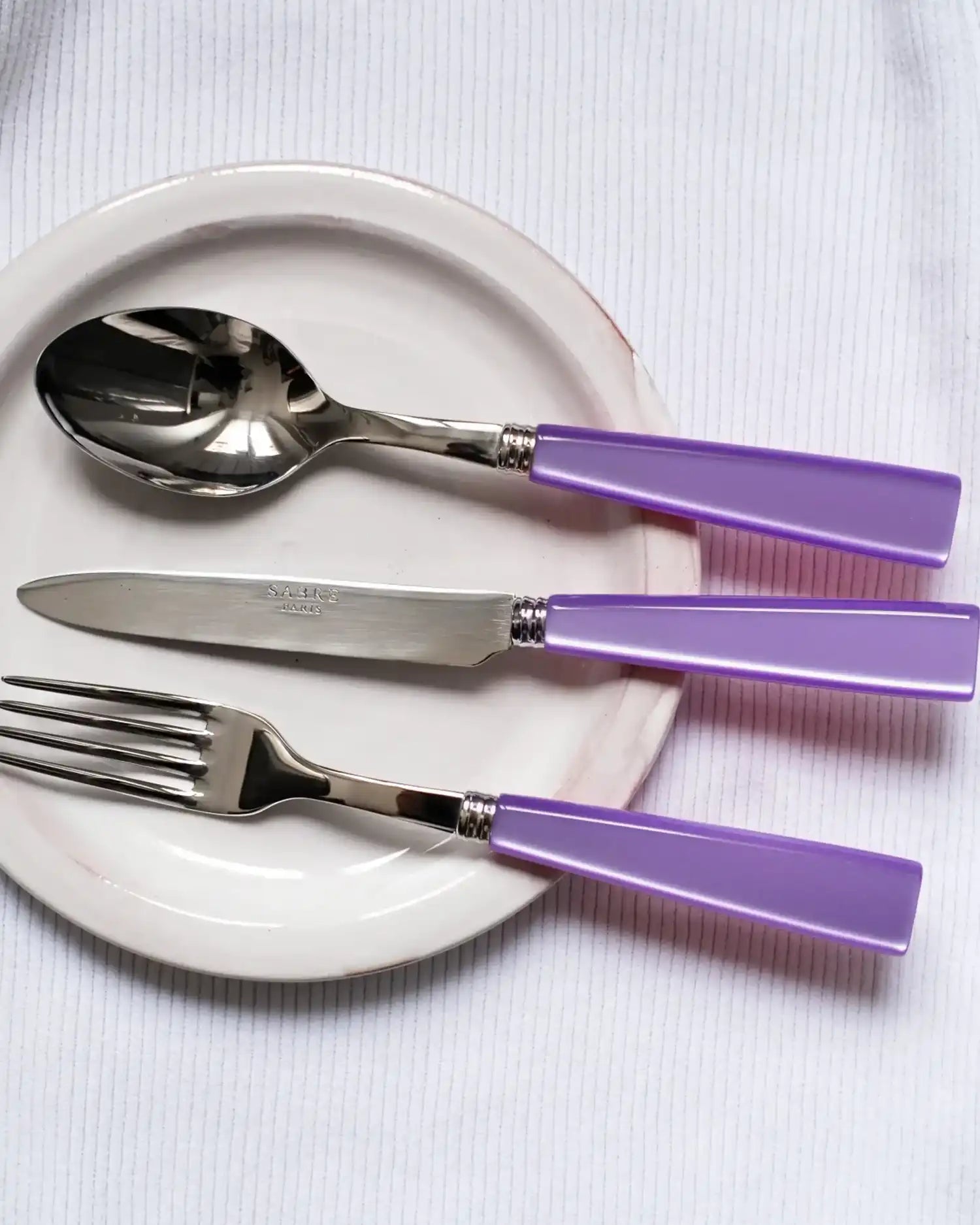 Sabre Paris Icône stainless steel dessert spoon with acrylic handle - Buy now on ShopDecor - Discover the best products by SABRE PARIS design