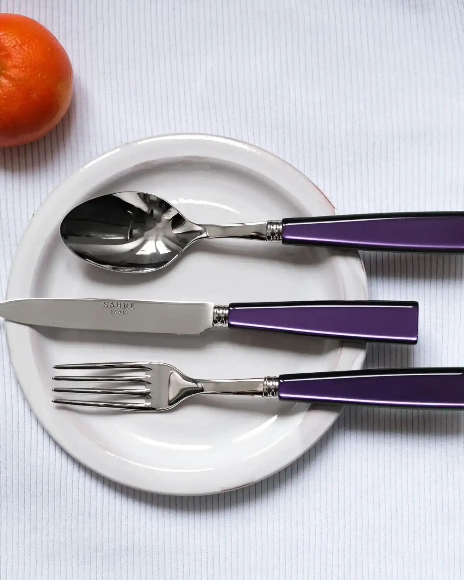 Sabre Paris Icône stainless steel dessert spoon with acrylic handle - Buy now on ShopDecor - Discover the best products by SABRE PARIS design