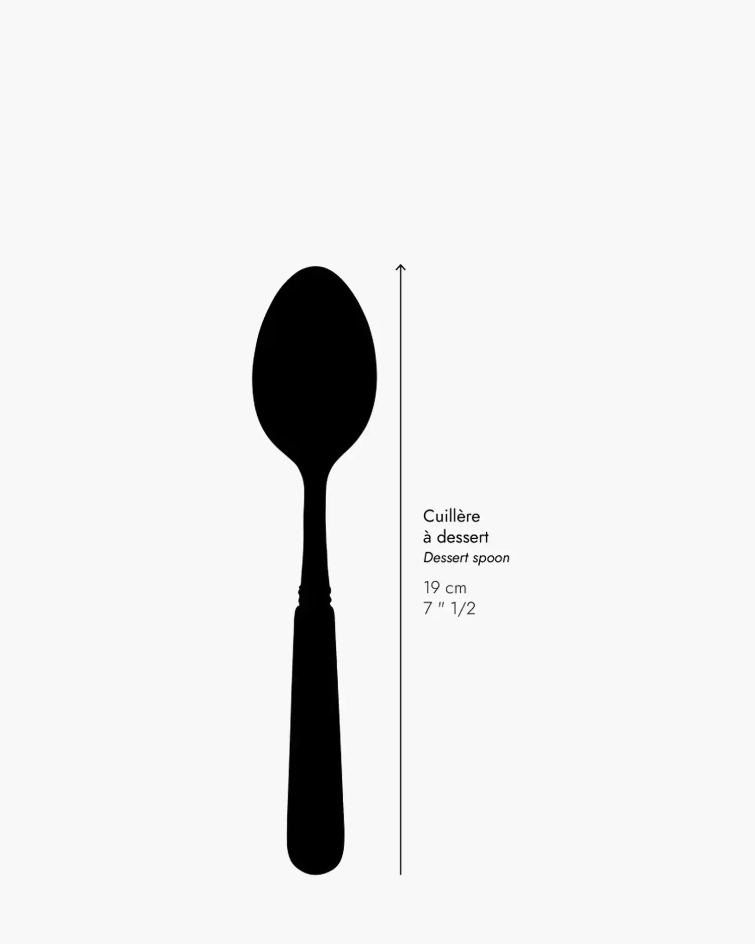Sabre Paris Icône stainless steel dessert spoon with acrylic handle - Buy now on ShopDecor - Discover the best products by SABRE PARIS design