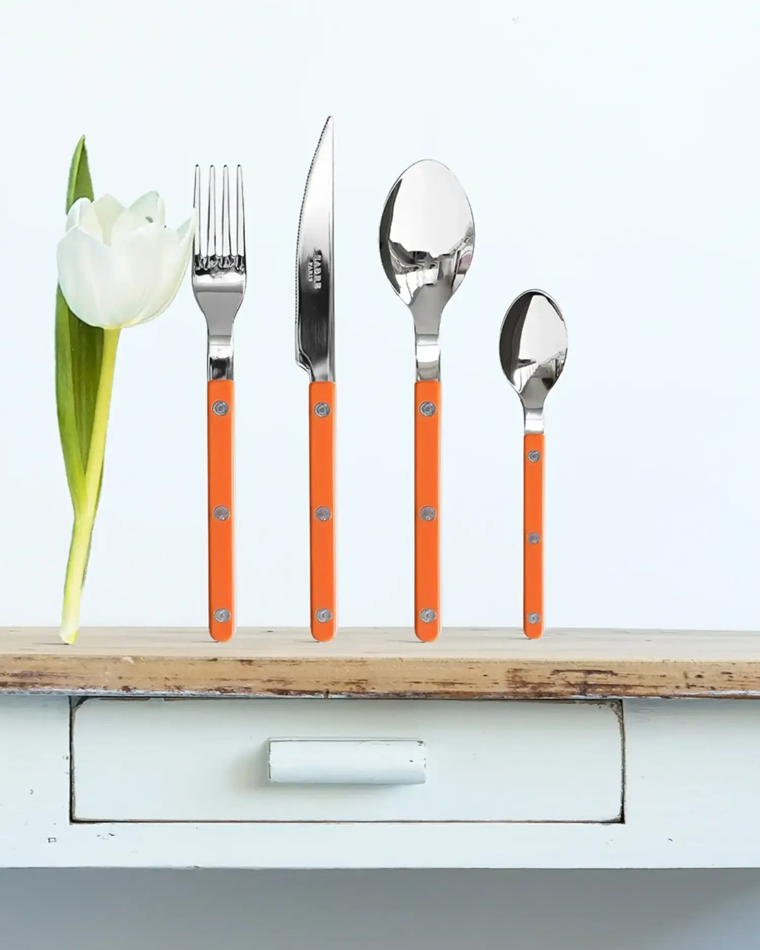 Sabre Paris Bistrot Shiny 5-piece stainless steel cutlery set with nylon handles - Buy now on ShopDecor - Discover the best products by SABRE PARIS design