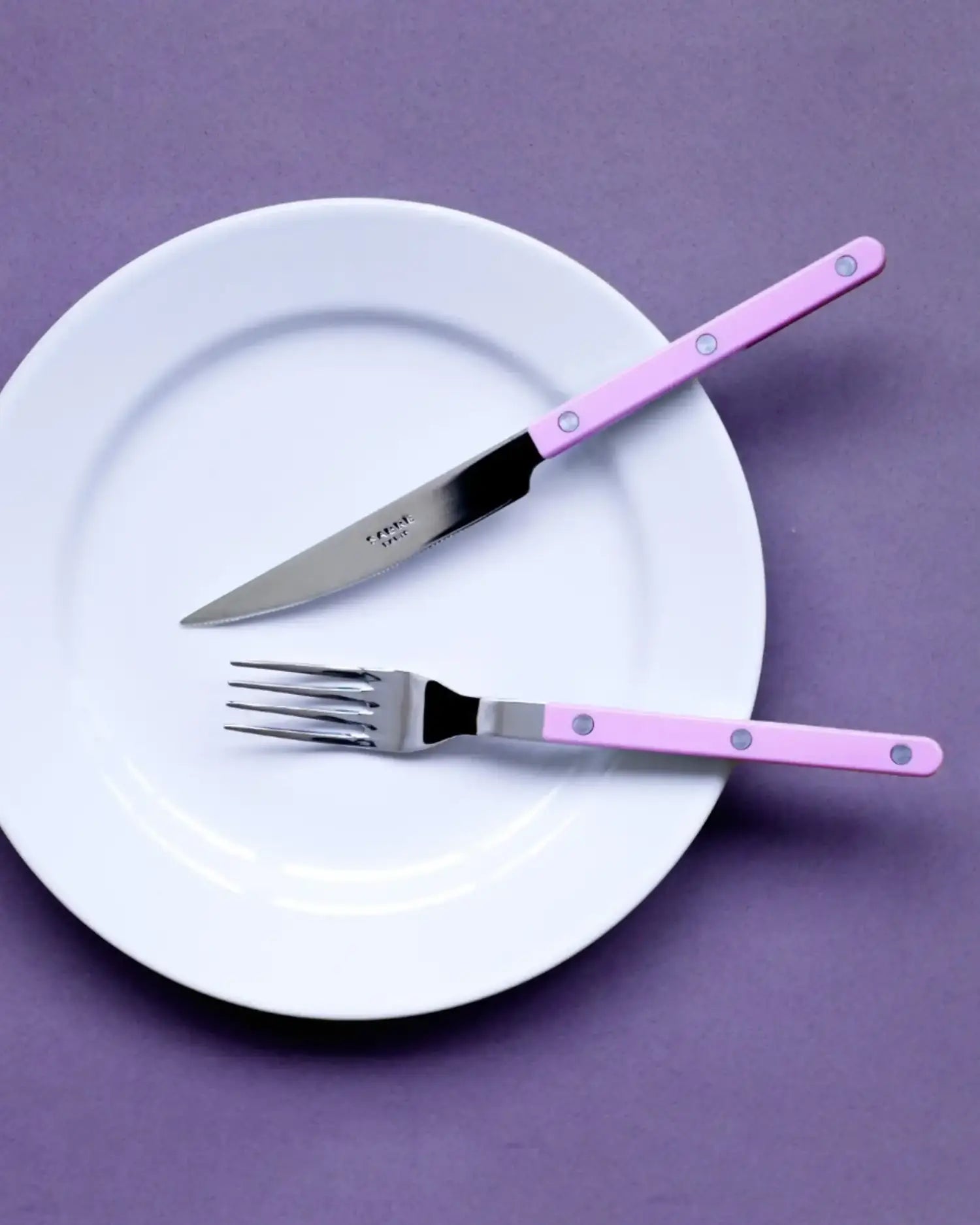 Sabre Paris Bistrot Shiny 5-piece stainless steel cutlery set with nylon handles - Buy now on ShopDecor - Discover the best products by SABRE PARIS design