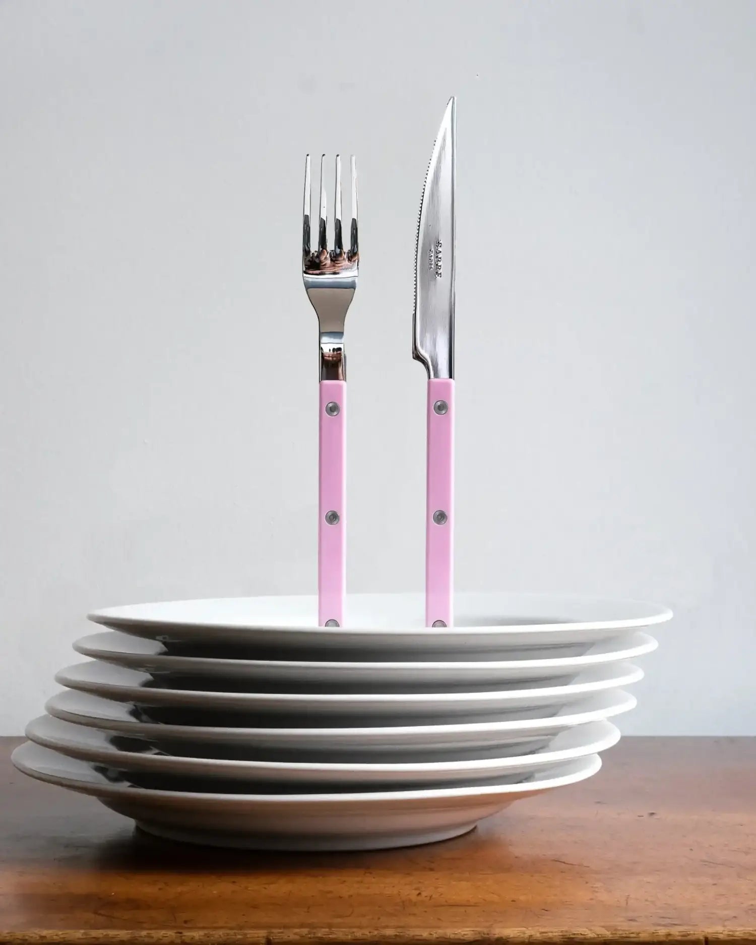 Sabre Paris Bistrot Shiny 5-piece stainless steel cutlery set with nylon handles - Buy now on ShopDecor - Discover the best products by SABRE PARIS design