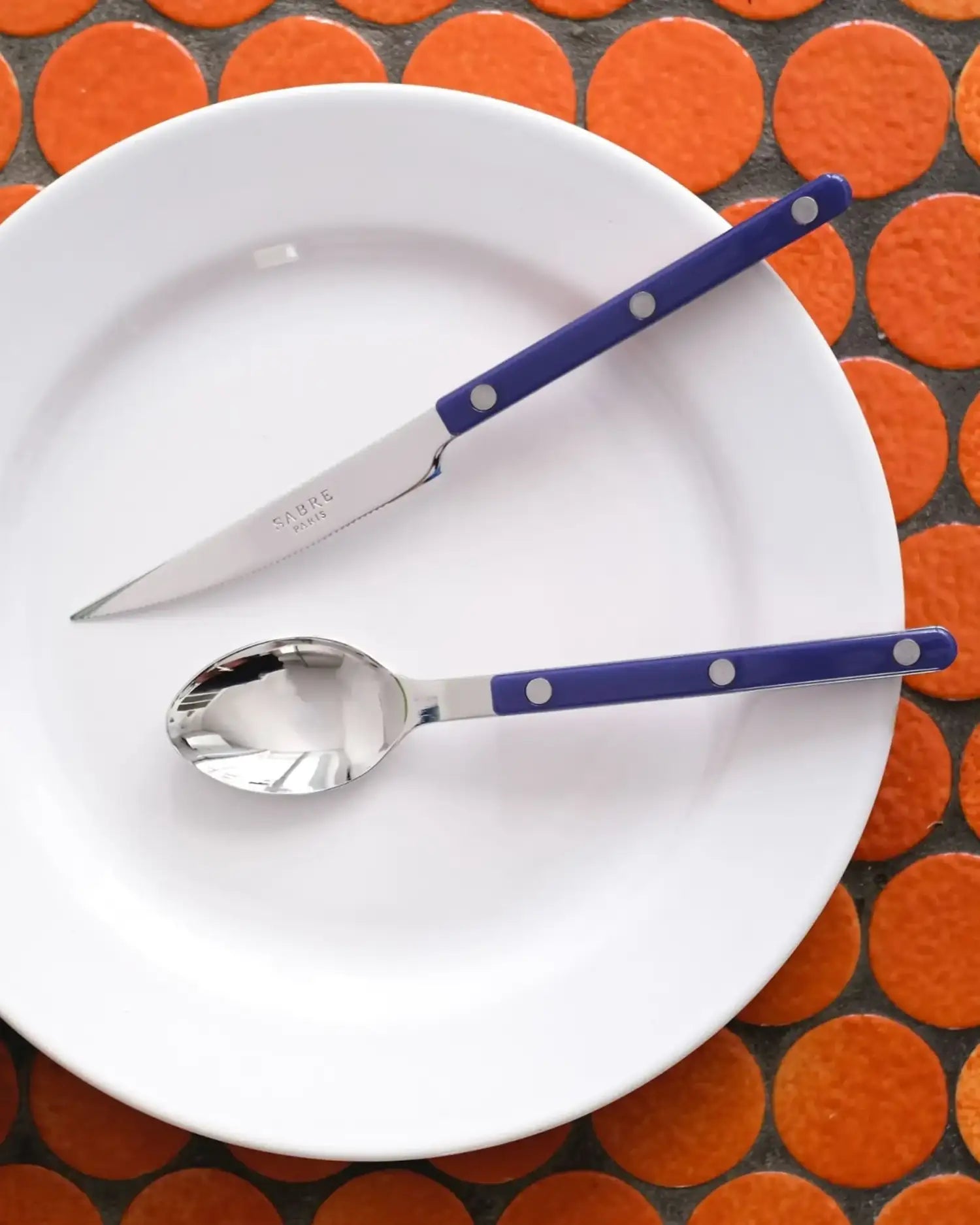 Sabre Paris Bistrot Shiny 5-piece stainless steel cutlery set with nylon handles - Buy now on ShopDecor - Discover the best products by SABRE PARIS design
