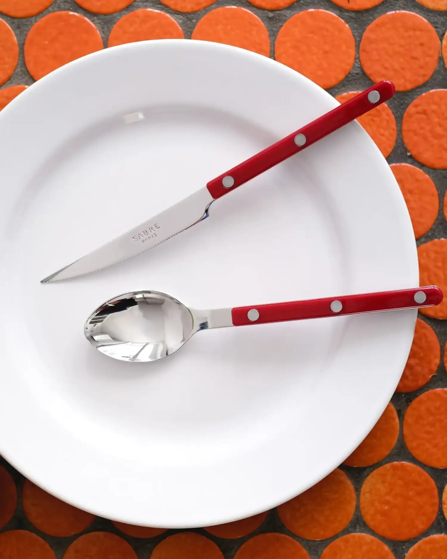 Sabre Paris Bistrot Shiny 5-piece stainless steel cutlery set with nylon handles - Buy now on ShopDecor - Discover the best products by SABRE PARIS design