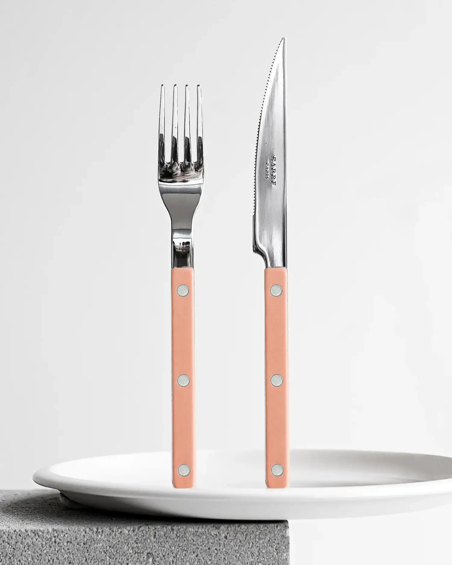 Sabre Paris Bistrot Shiny 5-piece stainless steel cutlery set with nylon handles - Buy now on ShopDecor - Discover the best products by SABRE PARIS design