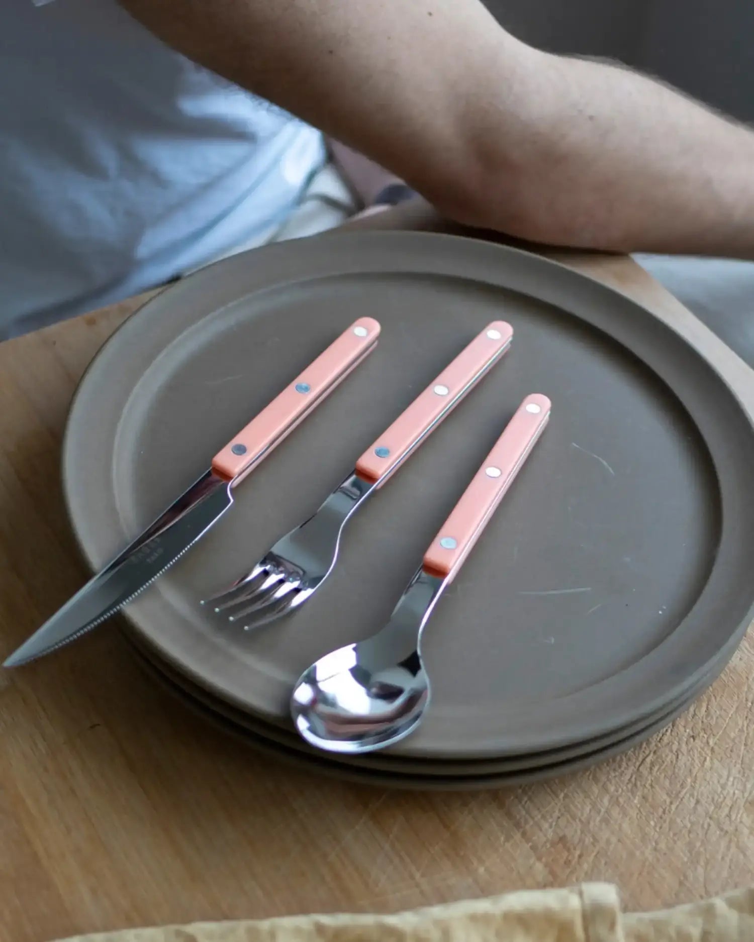 Sabre Paris Bistrot Shiny 5-piece stainless steel cutlery set with nylon handles - Buy now on ShopDecor - Discover the best products by SABRE PARIS design