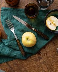 Sabre Paris Tortoise stainless steel dessert fork with acrylic handle - Buy now on ShopDecor - Discover the best products by SABRE PARIS design