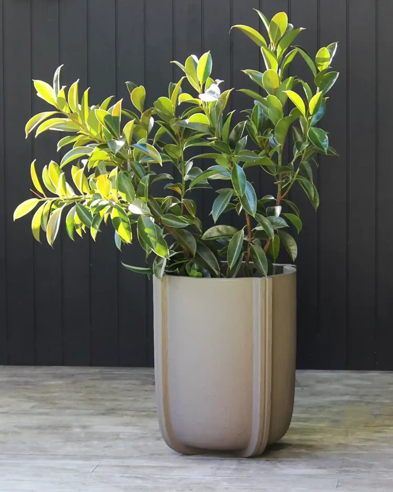 Serralunga Cassero vase - Buy now on ShopDecor - Discover the best products by SERRALUNGA design